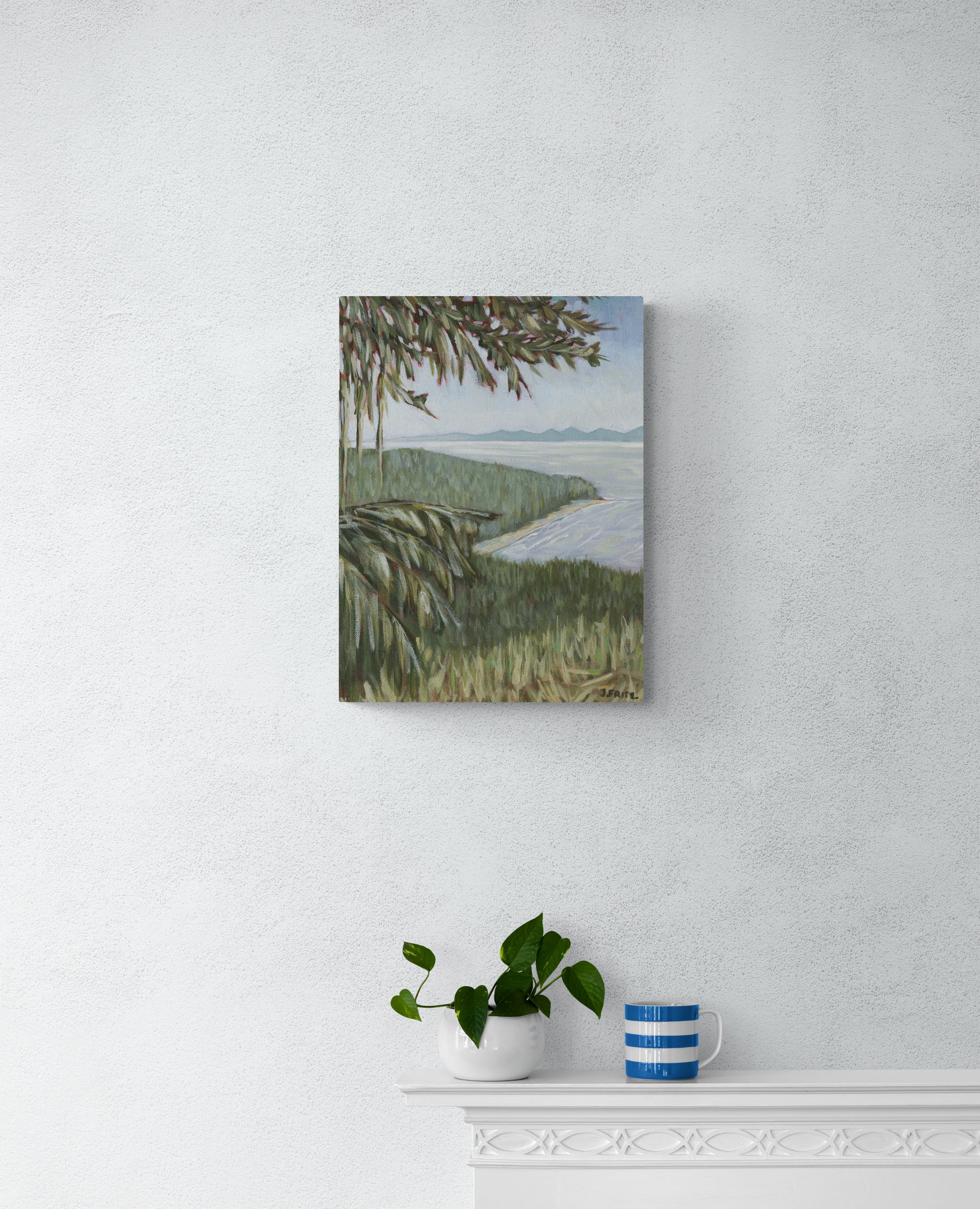 Above French Beach   | Canvas Print