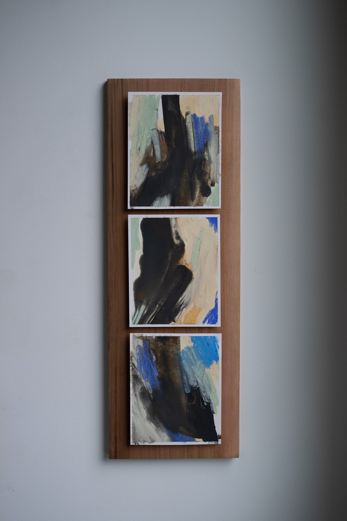 "The Spirit of the Coast" | Triptych | Oil Stick &amp; Pastel on Paper with Red Cedar