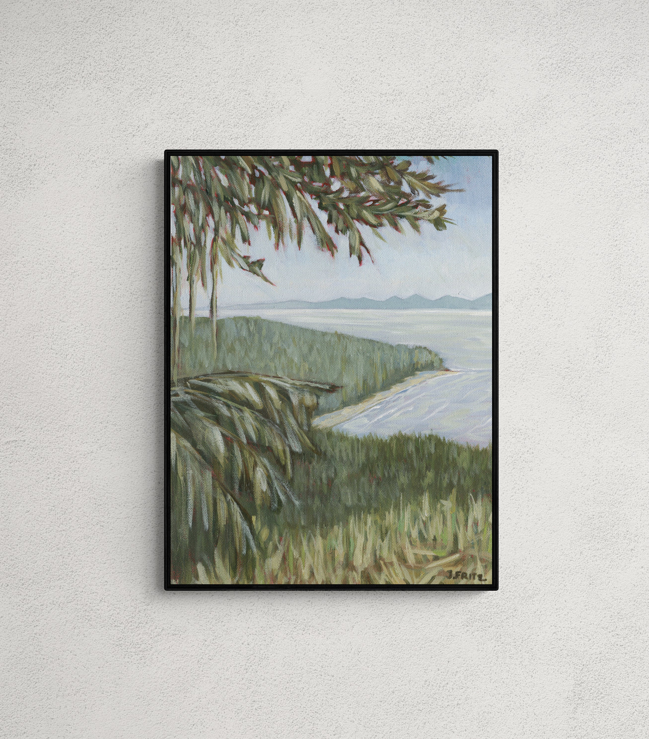 Above French Beach   | Canvas Print